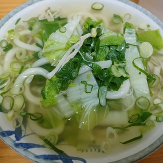 だし香る温かいうどん